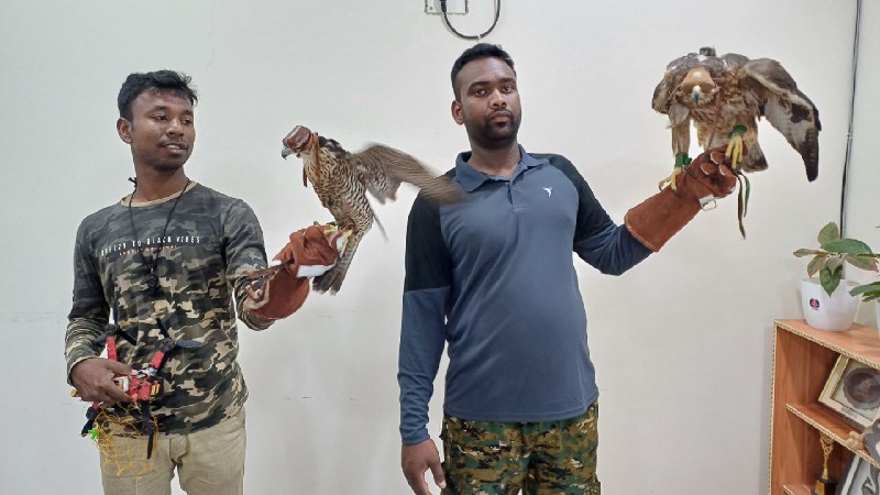 In Telangana, birds of a feather ‘hunt’ rogue drones together
