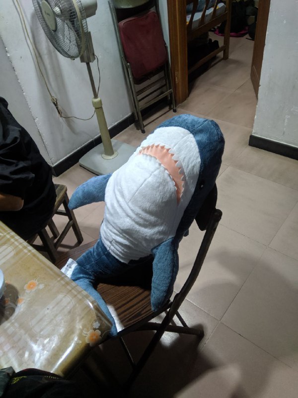 今天罗先生的发布会给我的感觉